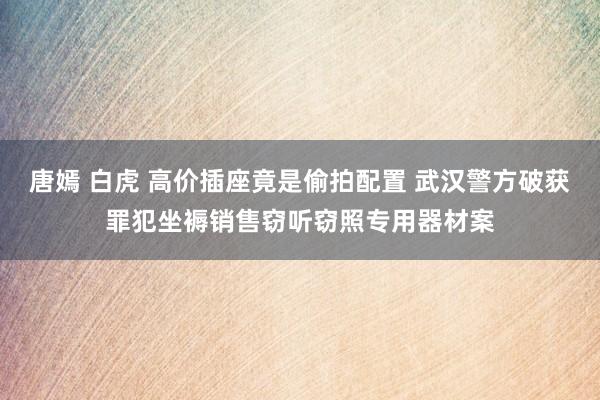 唐嫣 白虎 高价插座竟是偷拍配置 武汉警方破获罪犯坐褥销售窃听窃照专用器材案