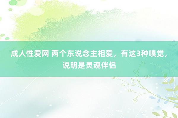 成人性爱网 两个东说念主相爱，有这3种嗅觉，说明是灵魂伴侣
