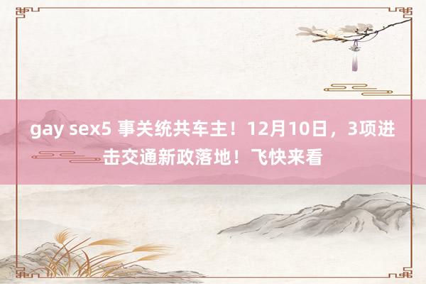 gay sex5 事关统共车主！12月10日，3项进击交通新政落地！飞快来看