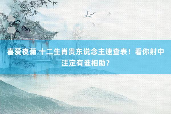 喜爱夜蒲 十二生肖贵东说念主速查表！看你射中注定有谁相助？