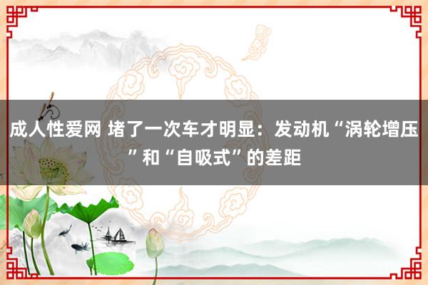 成人性爱网 堵了一次车才明显：发动机“涡轮增压”和“自吸式”的差距