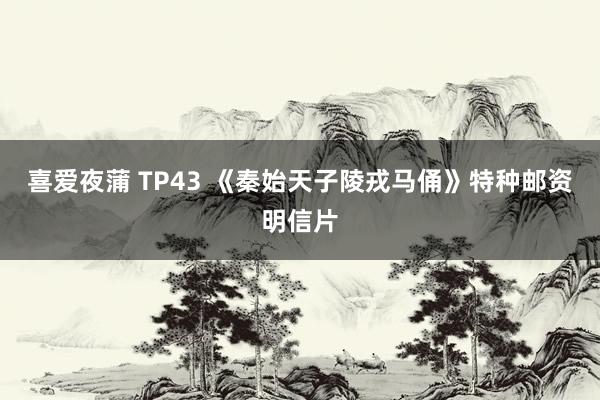 喜爱夜蒲 TP43 《秦始天子陵戎马俑》特种邮资明信片