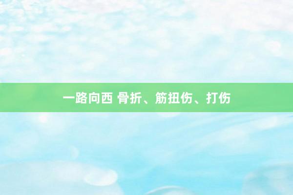 一路向西 骨折、筋扭伤、打伤